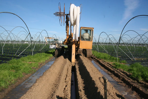 drenaje-parcelario-tubería_moreno